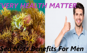 Sea Moss Benefits For Men